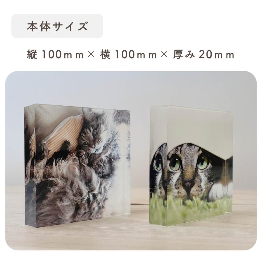 アクリルブロック キューブ オーダーメイド オリジナル 写真 画像 記念品 贈り物 推し活  母の日 父の日 ペットロス 立体 |  | 05