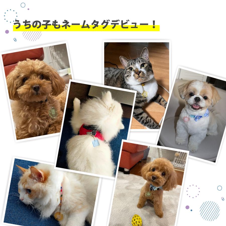 カラフル ネームタグ 迷子札 名前入れ  オリジナル オーダーメイド ペット 犬 猫 透明 色 認知症 視覚障害 |  | 08