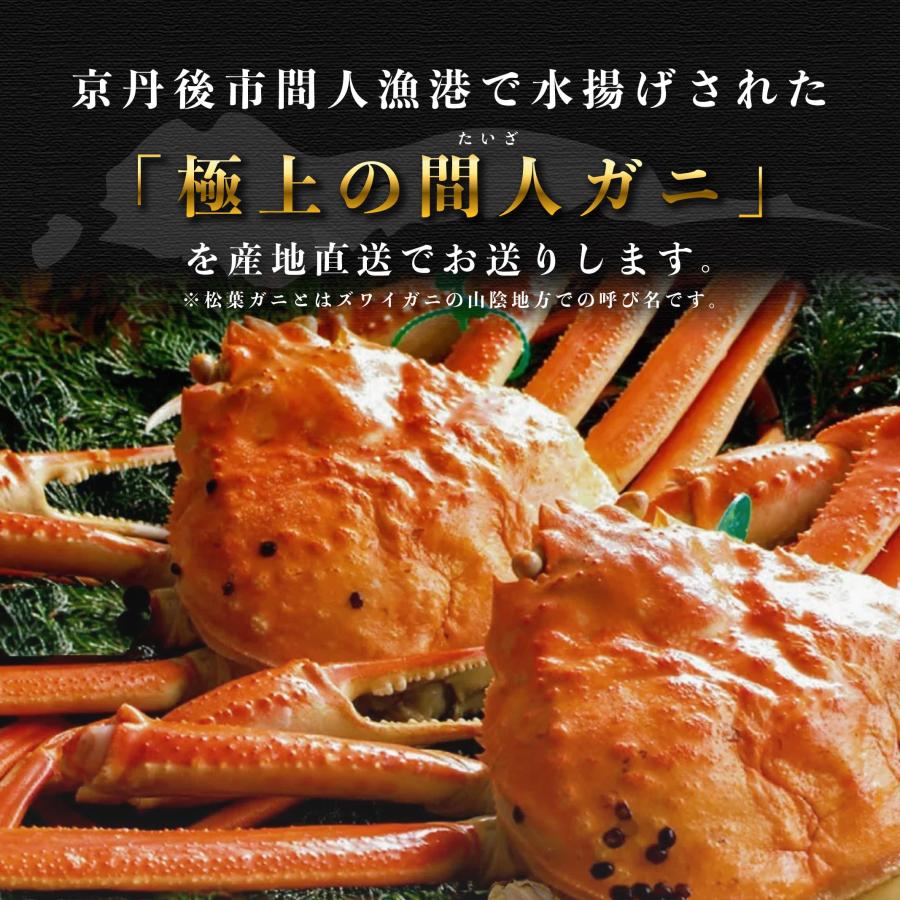 11/6漁解禁【 Aランク 】間人蟹（たいざがに） Aランク雄1匹＋雌(せこがに)3匹 茹で 未冷凍 そのまま食べられる！ |  | 01