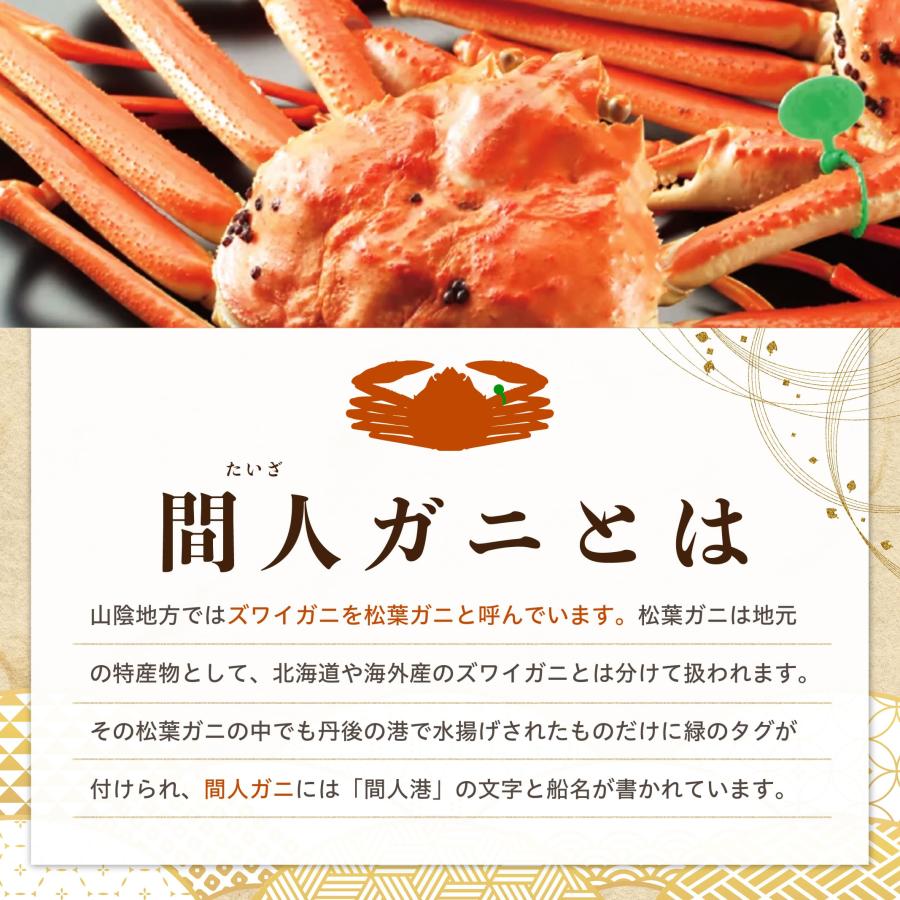 11/6漁解禁【 Aランク 】間人蟹（たいざがに） Aランク雄1匹＋雌(せこがに)3匹 茹で 未冷凍 そのまま食べられる！ |  | 04
