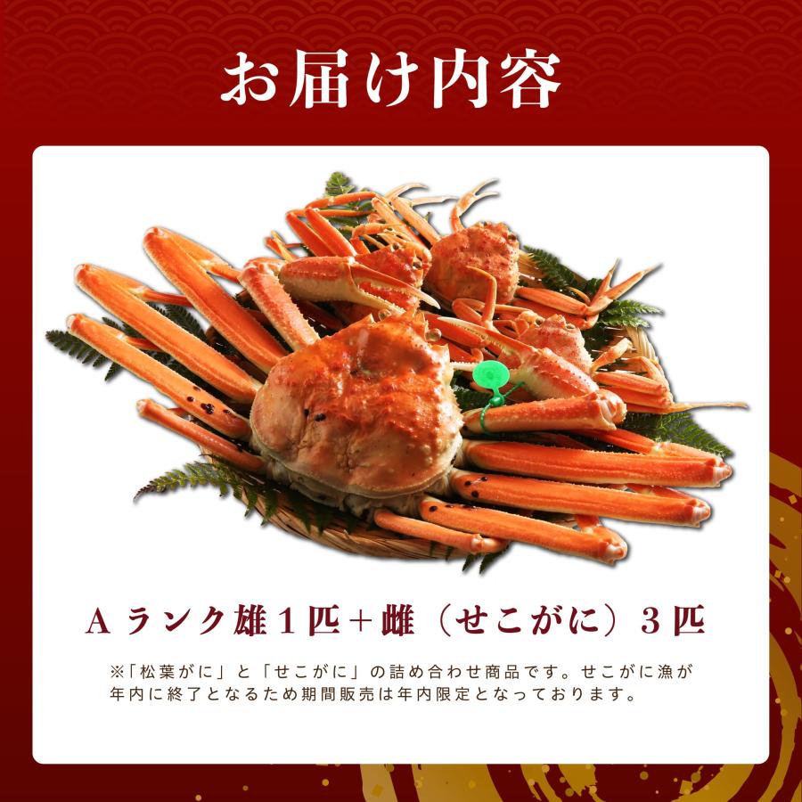 11/6漁解禁【 Aランク 】間人蟹（たいざがに） Aランク雄1匹＋雌(せこがに)3匹 茹で 未冷凍 そのまま食べられる！ |  | 07