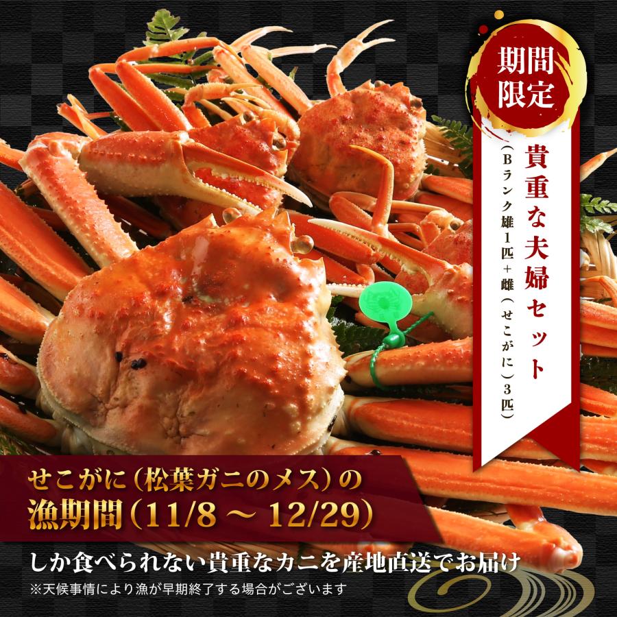 11/6漁解禁【 Bランク 】間人(たいざ)蟹 Bランク雄1匹＋雌(せこがに)3匹 茹で 未冷凍 そのまま食べられる！ |  | 02