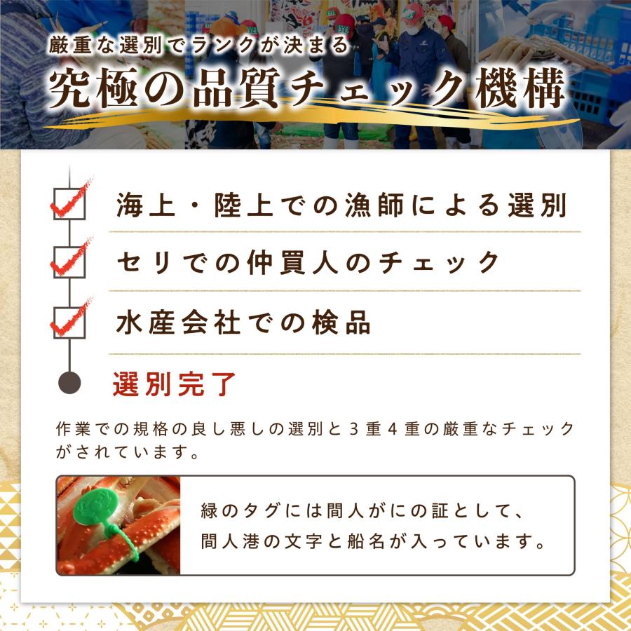 11/6漁解禁【 Bランク 】間人(たいざ)蟹 Bランク雄1匹＋雌(せこがに)3匹 茹で 未冷凍 そのまま食べられる！ |  | 05