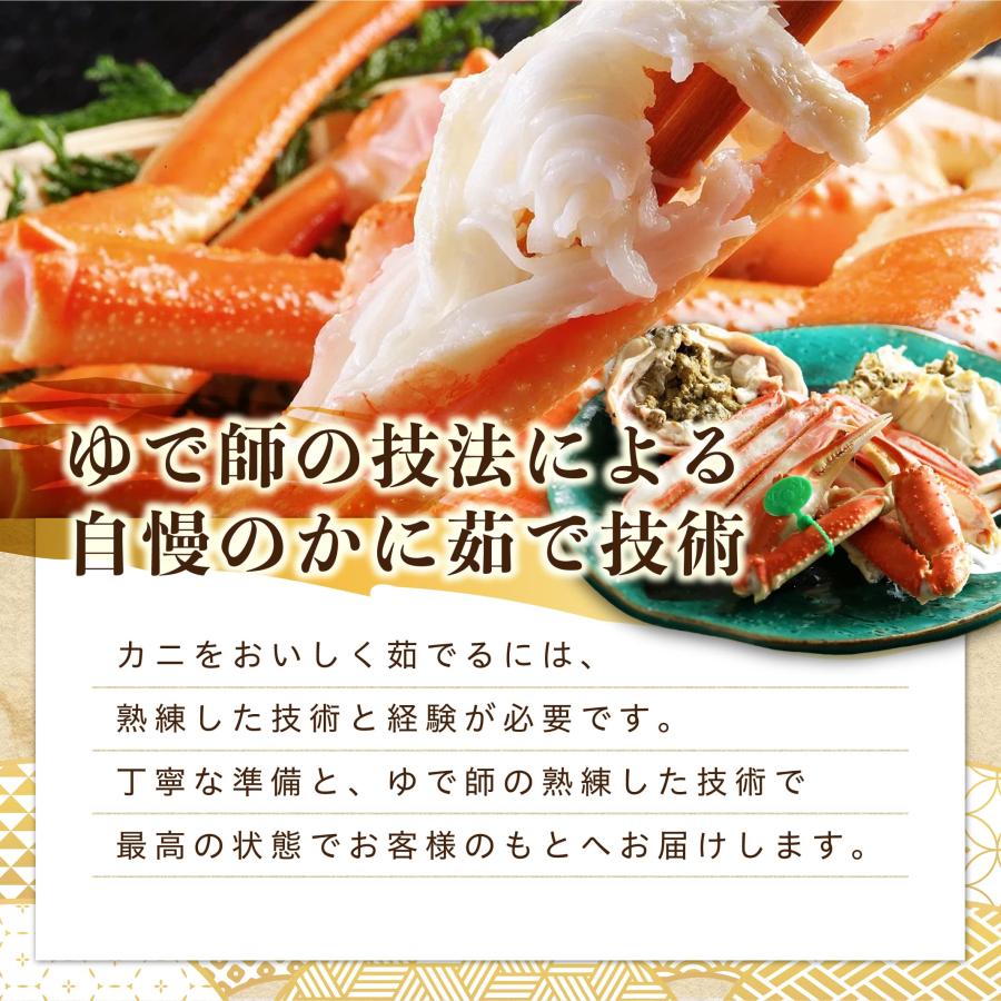 11/6漁解禁【 Cランク 】間人(たいざ)蟹 Cランク雄1匹＋雌(せこがに)3匹 茹で 未冷凍 そのまま食べられる！ |  | 06