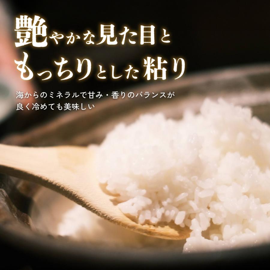 【新米】特別栽培米 令和7年産 京丹後市産コシヒカリ 2kg 1袋《こだわり農家城下和彦氏栽培米》※着日指定不可 ｜ おこめ 白米 | コシヒカリ | 01