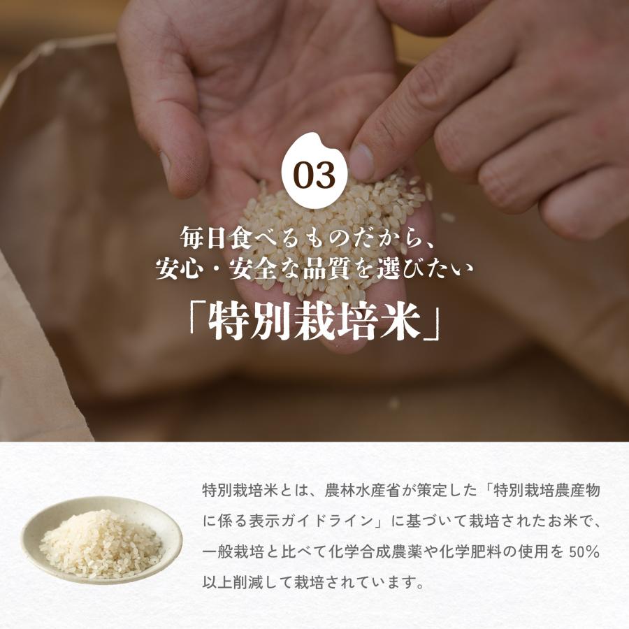 【新米】特別栽培米 令和7年産 京丹後市産コシヒカリ 2kg 1袋《こだわり農家城下和彦氏栽培米》※着日指定不可 ｜ おこめ 白米 | コシヒカリ | 05