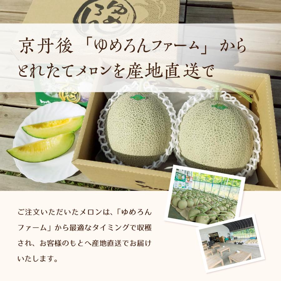 8/8販売終了！】京丹後市産メロン「ゆめろん」青玉2玉セット