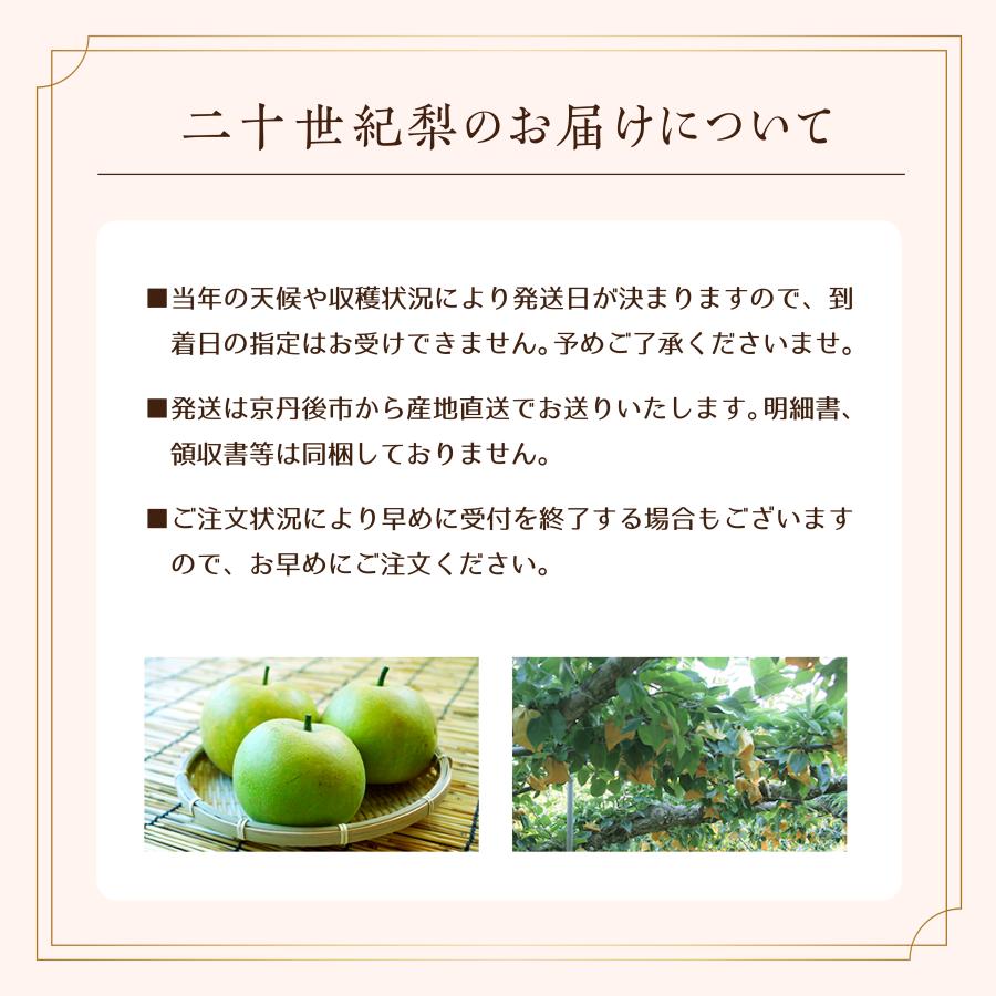 京丹後産二十世紀梨　5kg箱入（13玉前後）ギフト　お取寄せ |  | 02