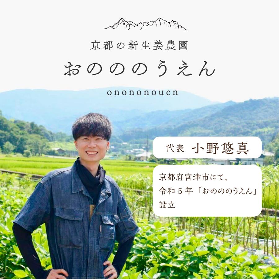 【2月初旬出荷】京都・丹後産 無農薬さつまいも「紅はるか」2kg オーガニック　化学肥料・除草剤不使用 |  | 02