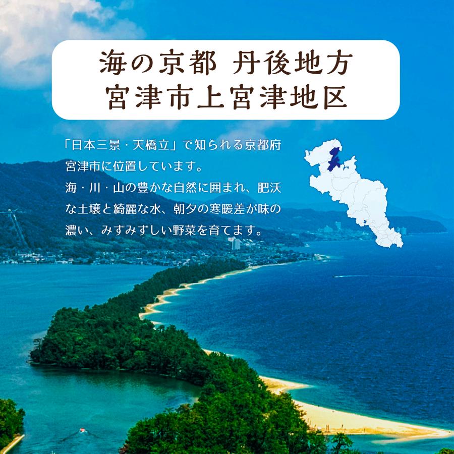 【2月初旬出荷】京都・丹後産 無農薬さつまいも「紅はるか」2kg オーガニック　化学肥料・除草剤不使用 |  | 04