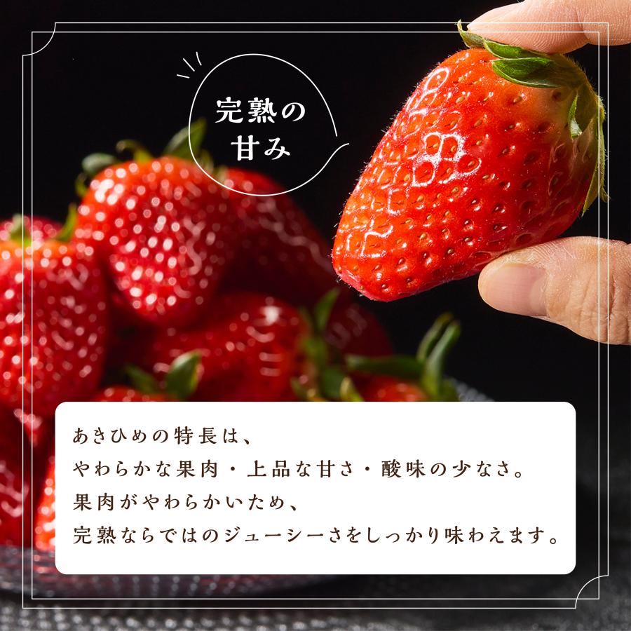 京丹後産　朝採れ完熟いちご「あきひめ」８粒〜１１粒入り2パック　農園直送　ギフト　お取り寄せ |  | 02