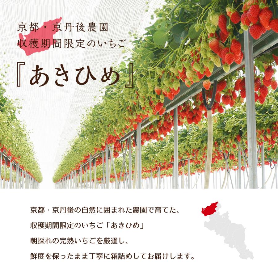 京丹後産　朝採れ完熟いちご「あきひめ」８粒〜１１粒入り2パック　農園直送　ギフト　お取り寄せ |  | 01