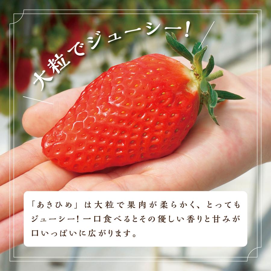京丹後産　朝採れ完熟いちご「あきひめ」８粒〜１１粒入り2パック　農園直送　ギフト　お取り寄せ |  | 03