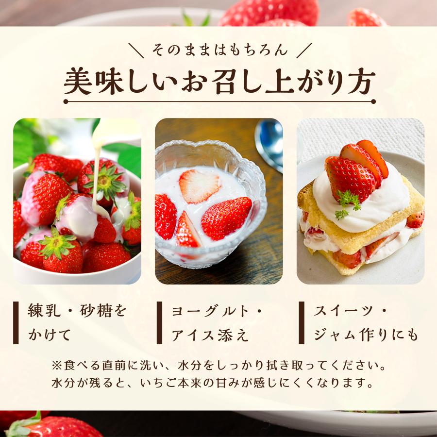 京丹後産　朝採れ完熟いちご「あきひめ」８粒〜１１粒入り2パック　農園直送　ギフト　お取り寄せ |  | 04