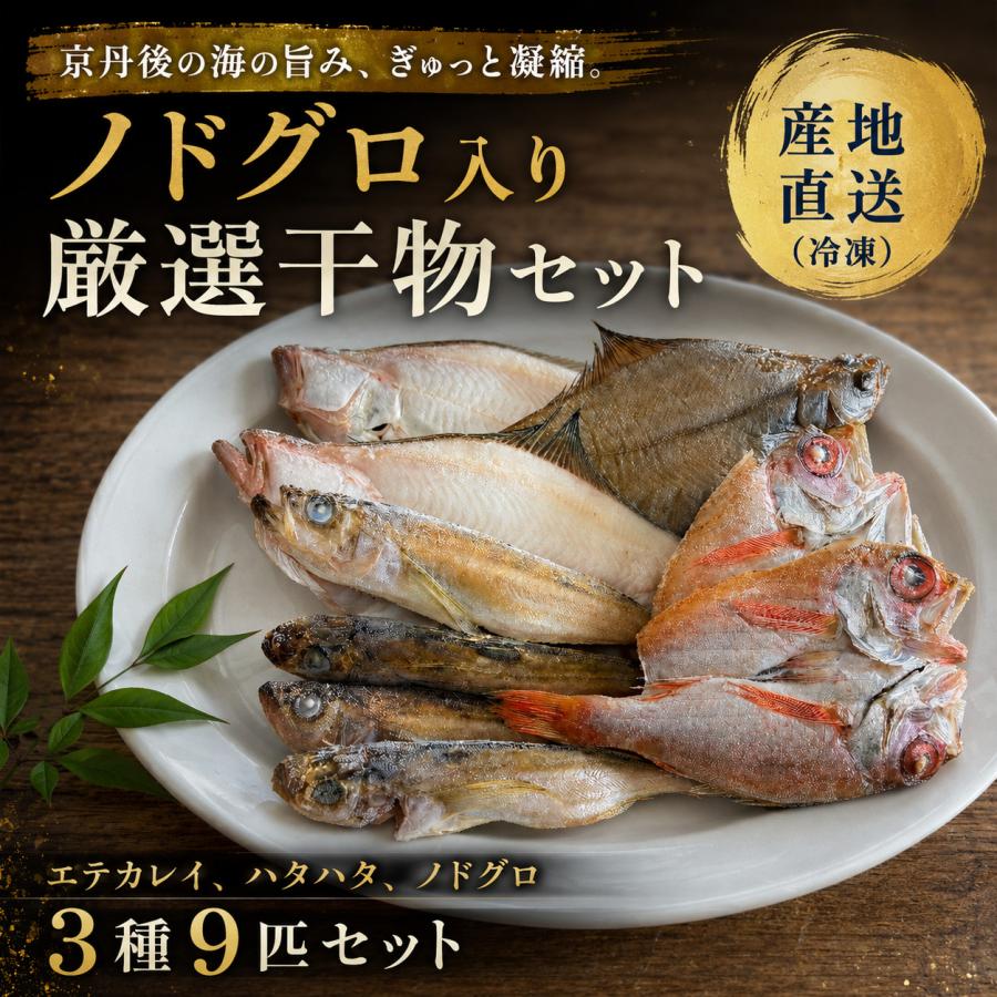 京丹後から直送　ノドグロ入り厳選干物セット　3種9匹　冷凍　ハタハタ　エテカレイ | 