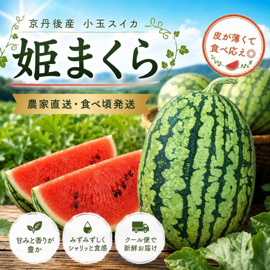 姫まくら 小玉スイカ 1箱5玉 京丹後市産小玉すいか「姫まくら」産地直送 お中元 夏ギフト : NSPR