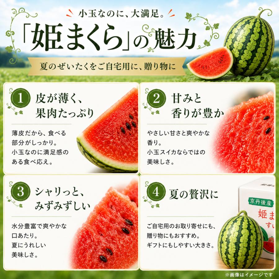 京丹後市産小玉すいか「姫まくら」産地直送 お中元 夏ギフト : NSPR