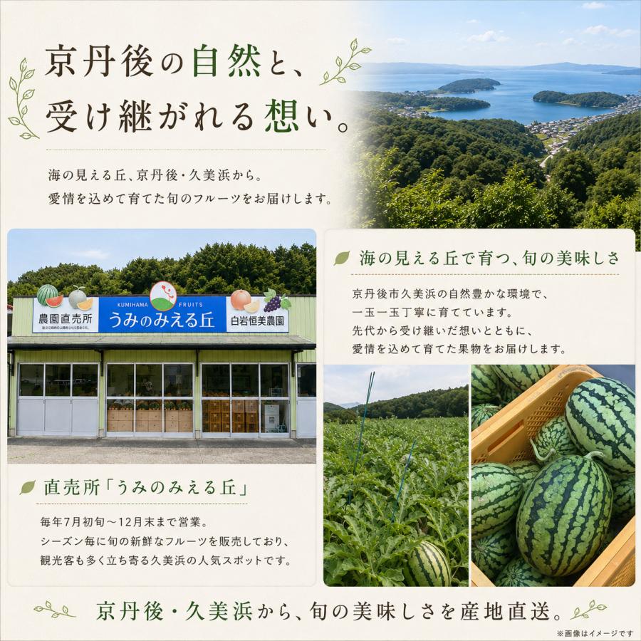 京丹後市産小玉すいか「姫まくら」産地直送 お中元 夏ギフト : NSPR