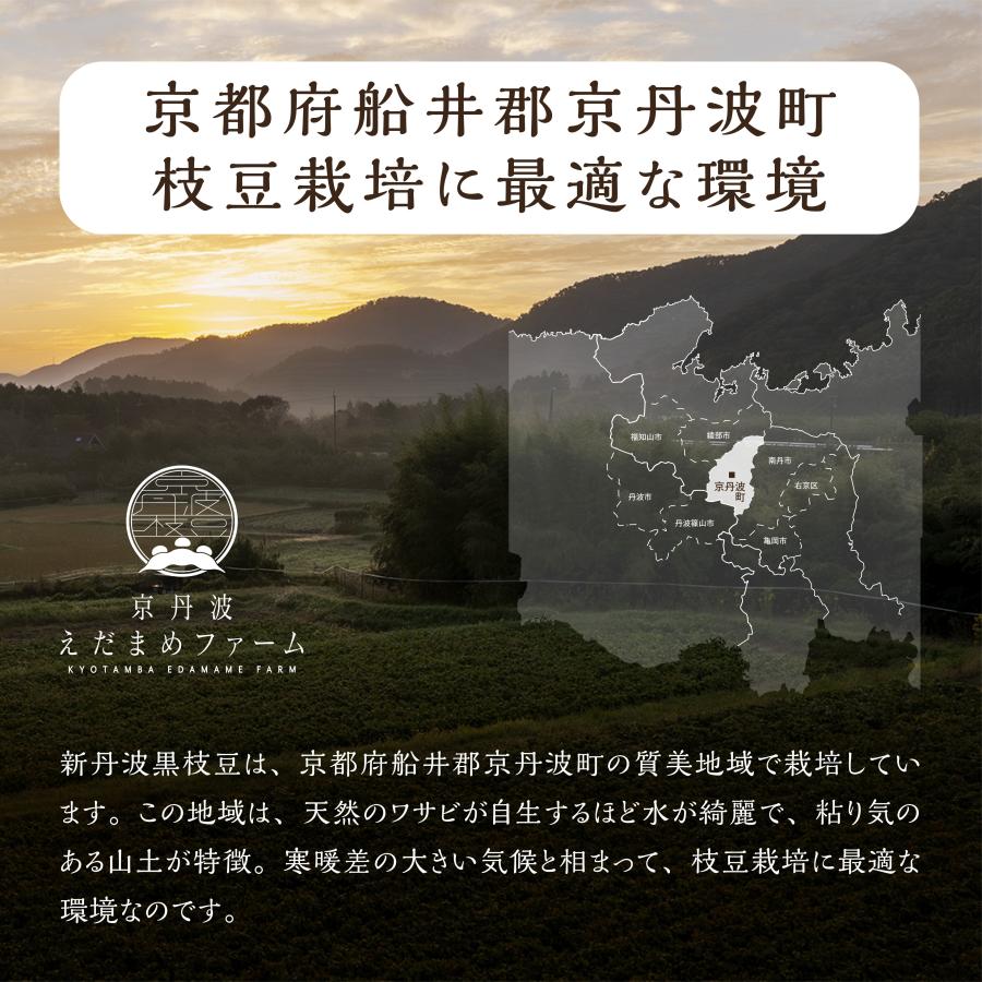 【予約】新丹波黒枝豆 2kg　枝無し　産地直送　京丹波産 |  | 02