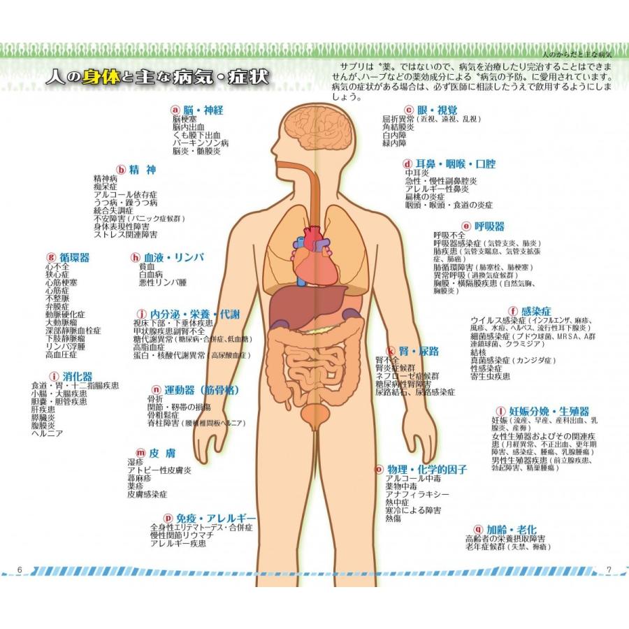 早わかりサプリメント |  | 03