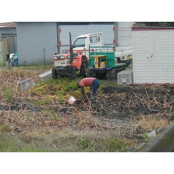 れんこん掘り用「鍬」 : COMODO農園 - 通販 - Yahoo!ショッピング