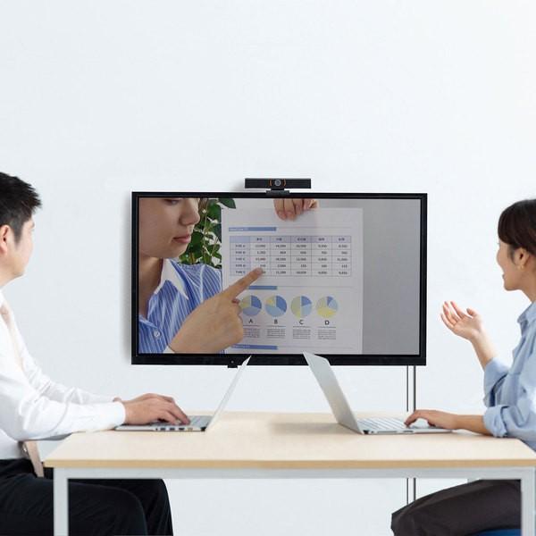 SANWA SUPPLY（サンワサプライ） 【在庫処分！】サンワサプライ