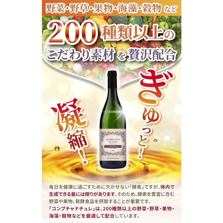 医師監修】コンブチャ 酵素ドリンク 低糖度 甘味料不使用