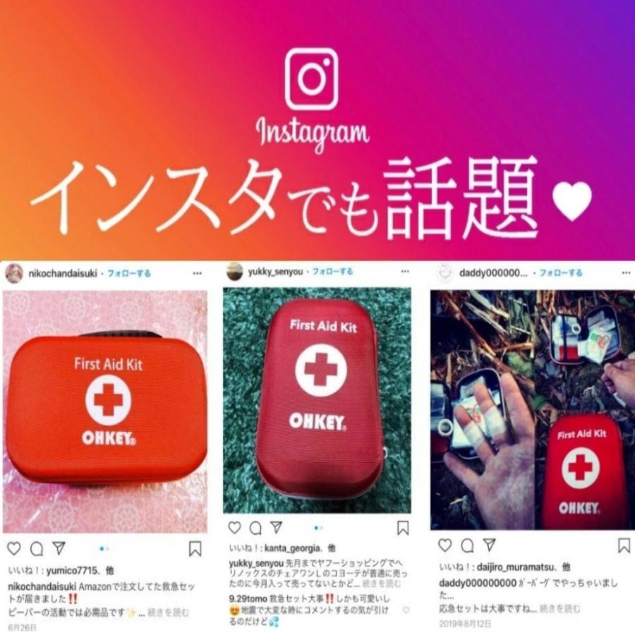 ヤフー1位 救急セット 救急箱 大 ポイズンリムーバー ファーストエイド