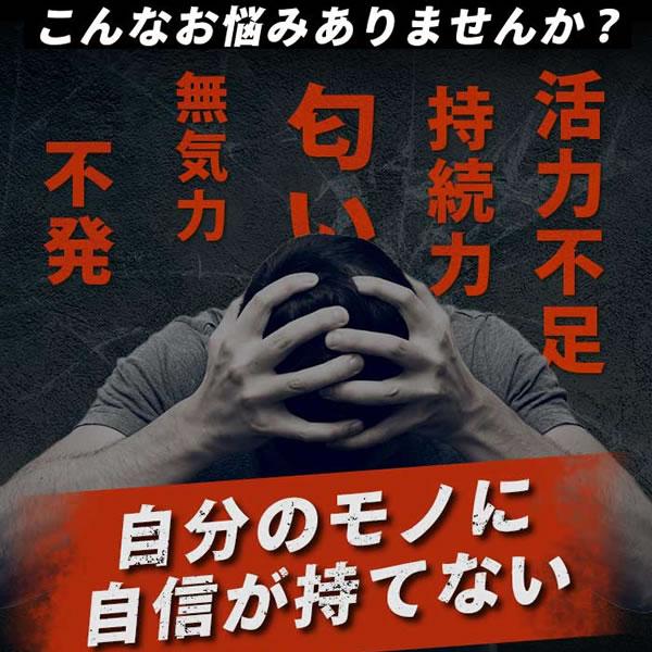 往復送料無料 VITORELIN ビトレリン 60粒 サプリメント 20包×3袋セット★ビトレリンロイヤルプラス 男性 滋養強壮 サプリ