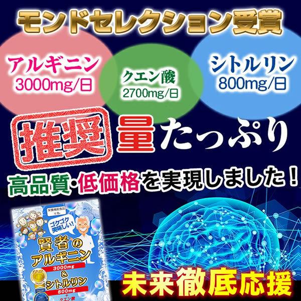 賢者のアルギニンシトルリン 2袋 アミノ酸 ビタミン BCAA DHA EPA HMB