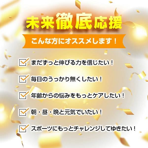 賢者のアルギニン＆シトルリン 3袋 アミノ酸 ビタミン BCAA DHA EPA HMB マカ クラチャイダム トンカットアリ 推奨量たっぷり！モンドセレクション受賞！｜ntc-yh｜03