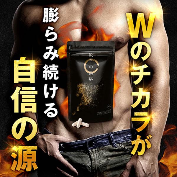 殿下の砲塔 2袋(1袋90粒) 亜鉛 マカ シトルリン アルギニン配合 酵母 
