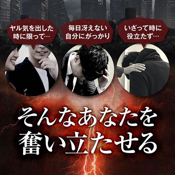 殿下の砲塔 2袋(1袋90粒) 亜鉛 マカ シトルリン アルギニン配合 酵母 