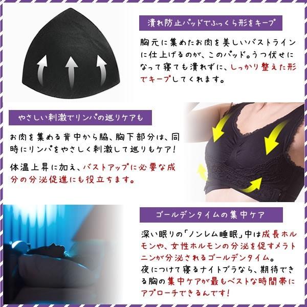 クリスチャンマリア 2個セット 美バスト 育乳ケア ブラジャー 理想の胸 食い込みによる痛みや寝苦しさを感じにくい 睡眠中に着用するナイトブラ Id16 D 634 2 Ntc 日本通販センターyahoo 店 通販 Yahoo ショッピング