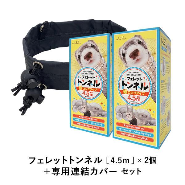 伊予國江戸時代寺社稀少天井絵図残骸200〜280年頃月光に松木