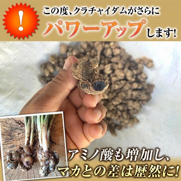 クラチャイダムゴールド 1箱30粒 約12〜30日分 クラチャイダム（黒