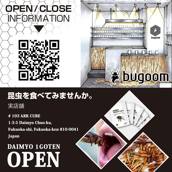 昆虫食を味わう 食用 タイワンオオコロギ 大きな食用コオロギ bugoom(バグーム)美味しく食べられる虫シリーズ GIANT CRICKETS【No.15】net.15g|ntc-yh|02