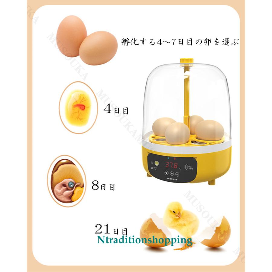 自動孵卵器 孵卵器 孵化器 卵 インキュベーター 自動転卵式 検卵 自動孵卵器 孵卵器 孵化器 卵 インキュベーター 自動転卵式 検卵