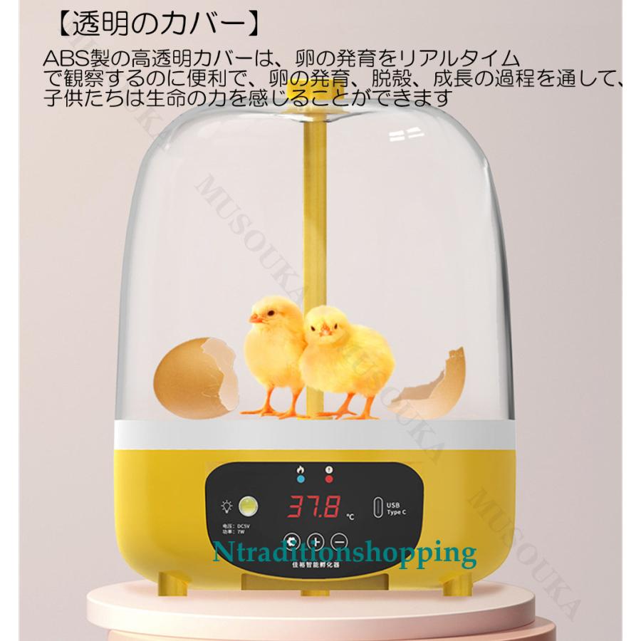 自動孵卵器 孵卵器 孵化器 卵 インキュベーター 自動転卵式 検卵 自動孵卵器 孵卵器 孵化器 卵 インキュベーター 自動転卵式 検卵