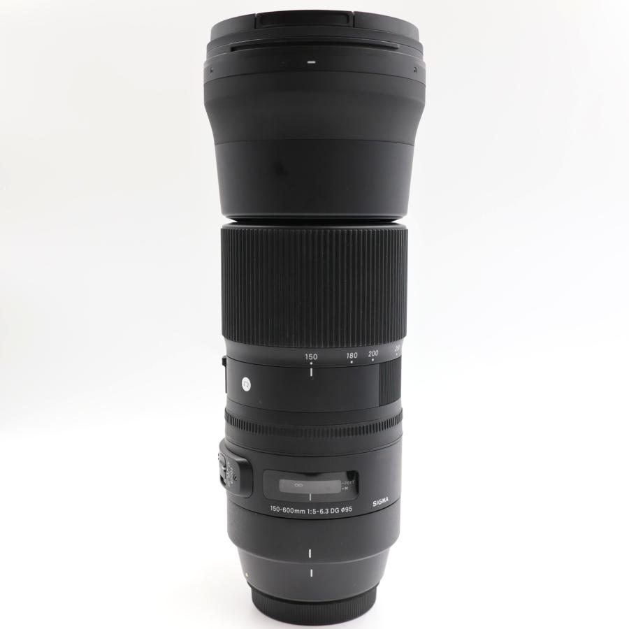 SIGMA Contemporary 150-600mm F5-6.3 DG OS HSM Canon EFマウント 超望遠ズームレンズ シグマ |  | 02