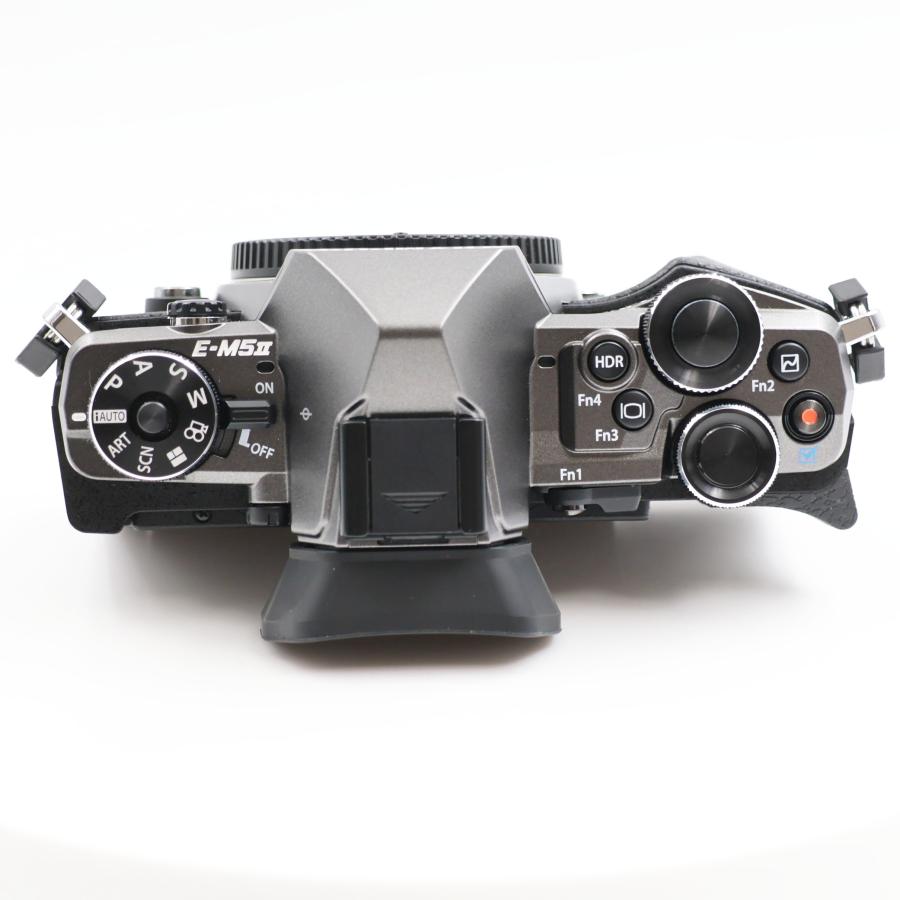 シャッター数471枚 OLYMPUS OM-D E-M5 Mark II ボディ Limited Edition ミラーレス一眼カメラ |  | 05