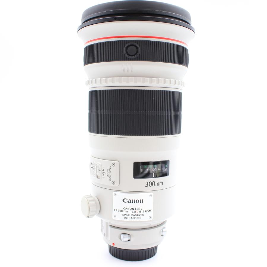 Canon EF 300mm f/2.8L 単焦点USM 望遠レンズ EF300mm F2.8L USMの伝説：圧倒的描写力と美しいボケの秘密