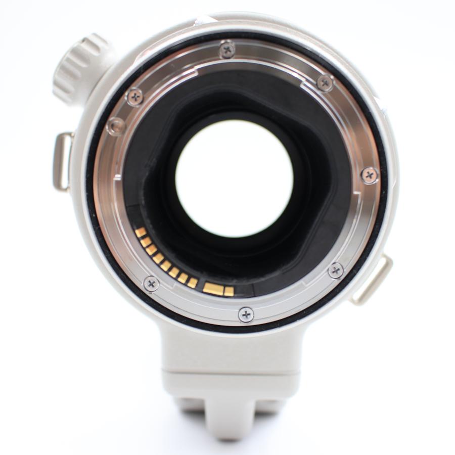キヤノン CANON EF300mm F2.8L IS II USM 単焦点望遠レンズ