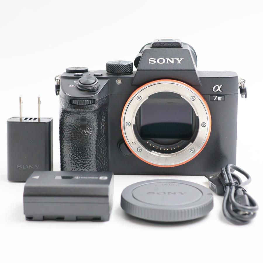 SONY α7III ボディ ミラーレス一眼カメラ ILCE-7M3 ソニー | 