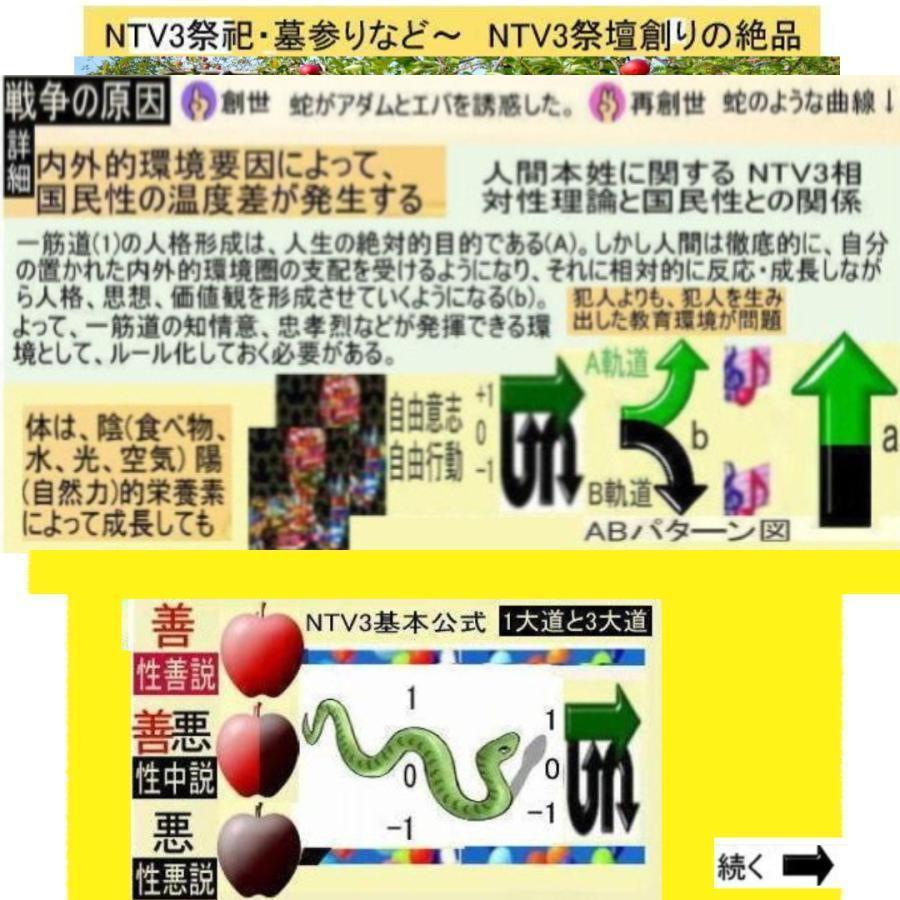 新生活　＋1人類の祖先とは |  | 12