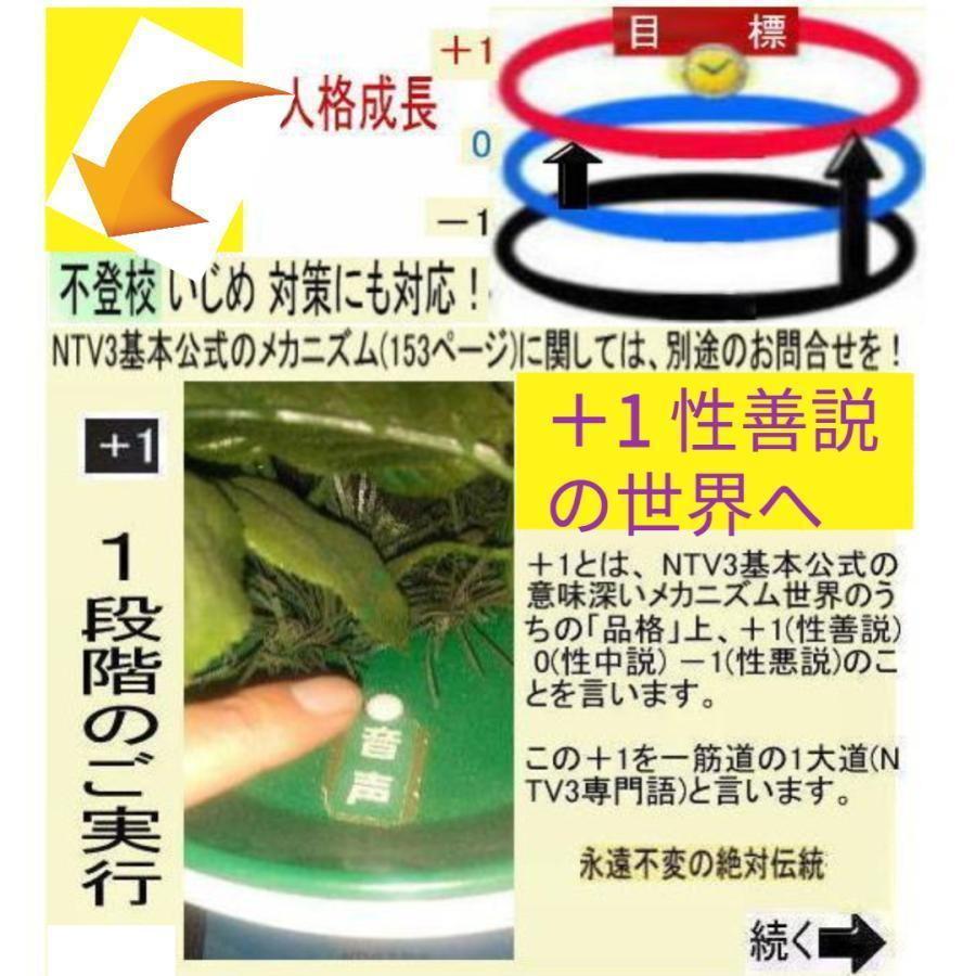 新生活　＋1人類の祖先とは |  | 04