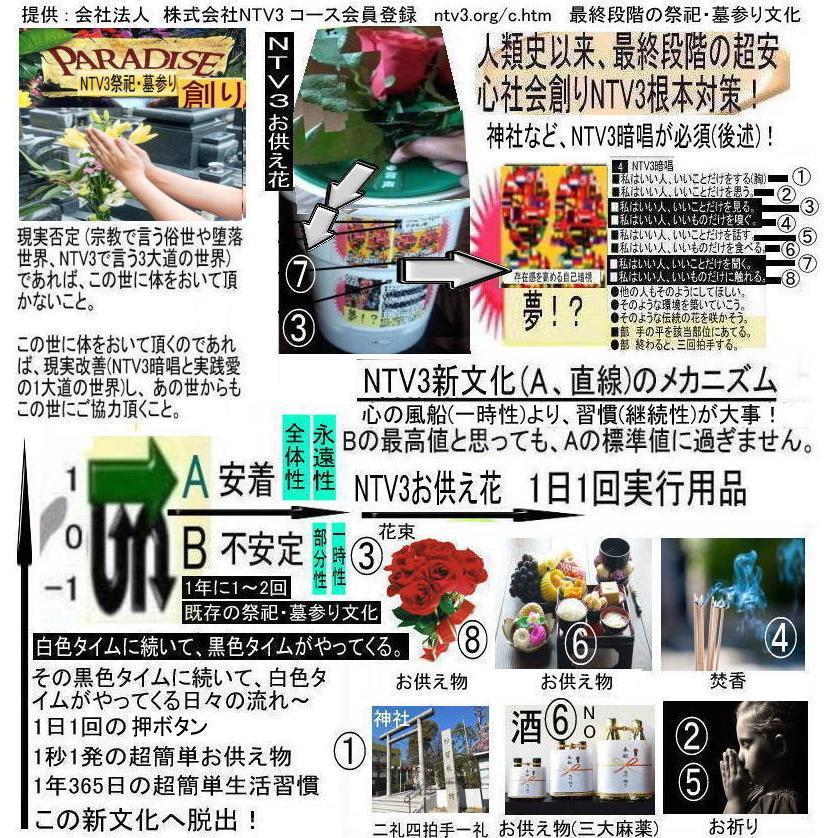NTV3ノーベル賞へご招待！ |  | 11