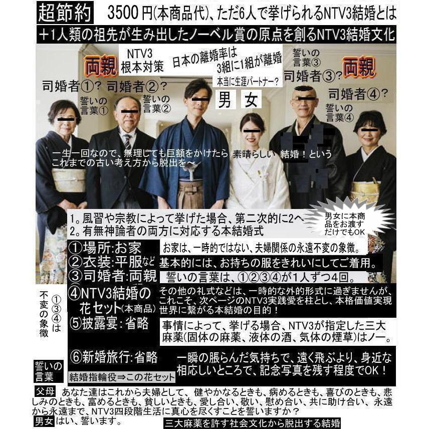 新生活  結婚費用3500円 |  | 01