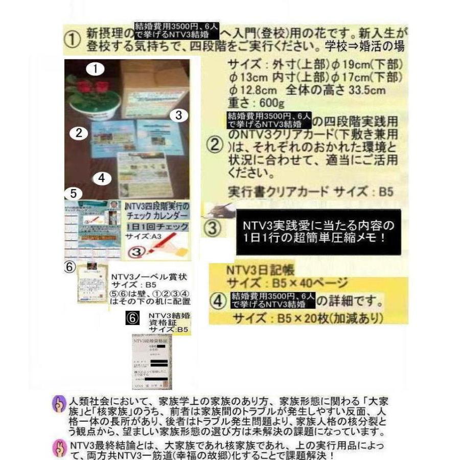 新生活  結婚費用3500円 |  | 06