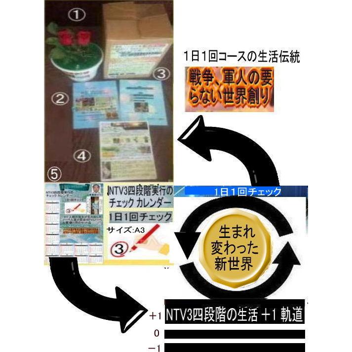 新生活　パンドラの箱のミステリー解明 |  | 11